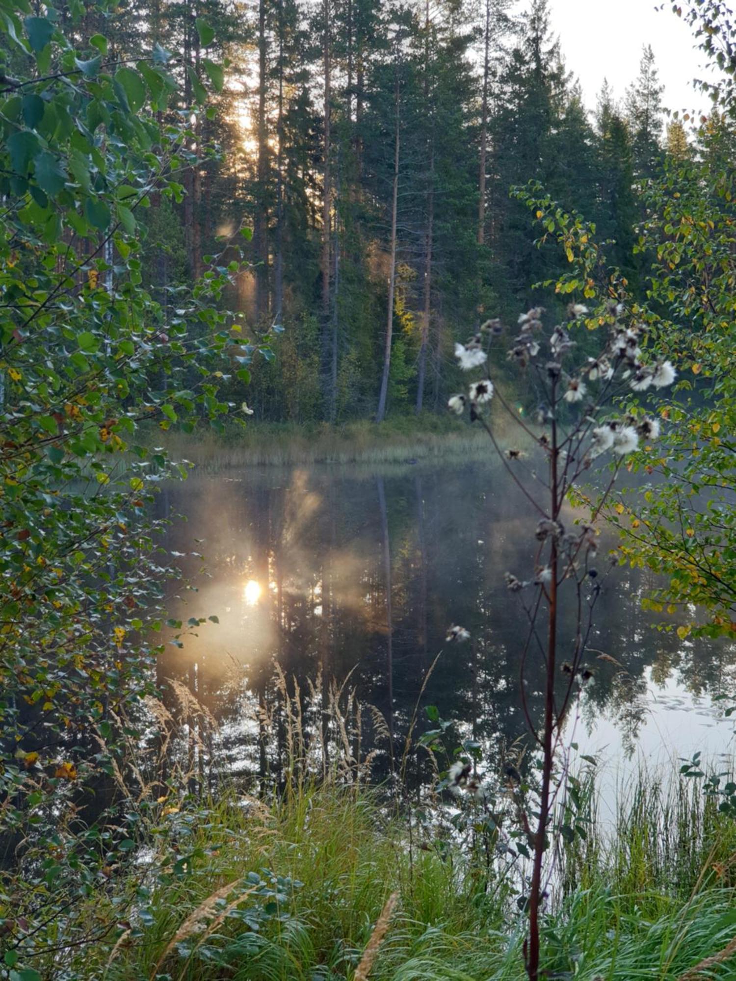 Tyforsgarden Appartement Mjolnartorpet Buitenkant foto