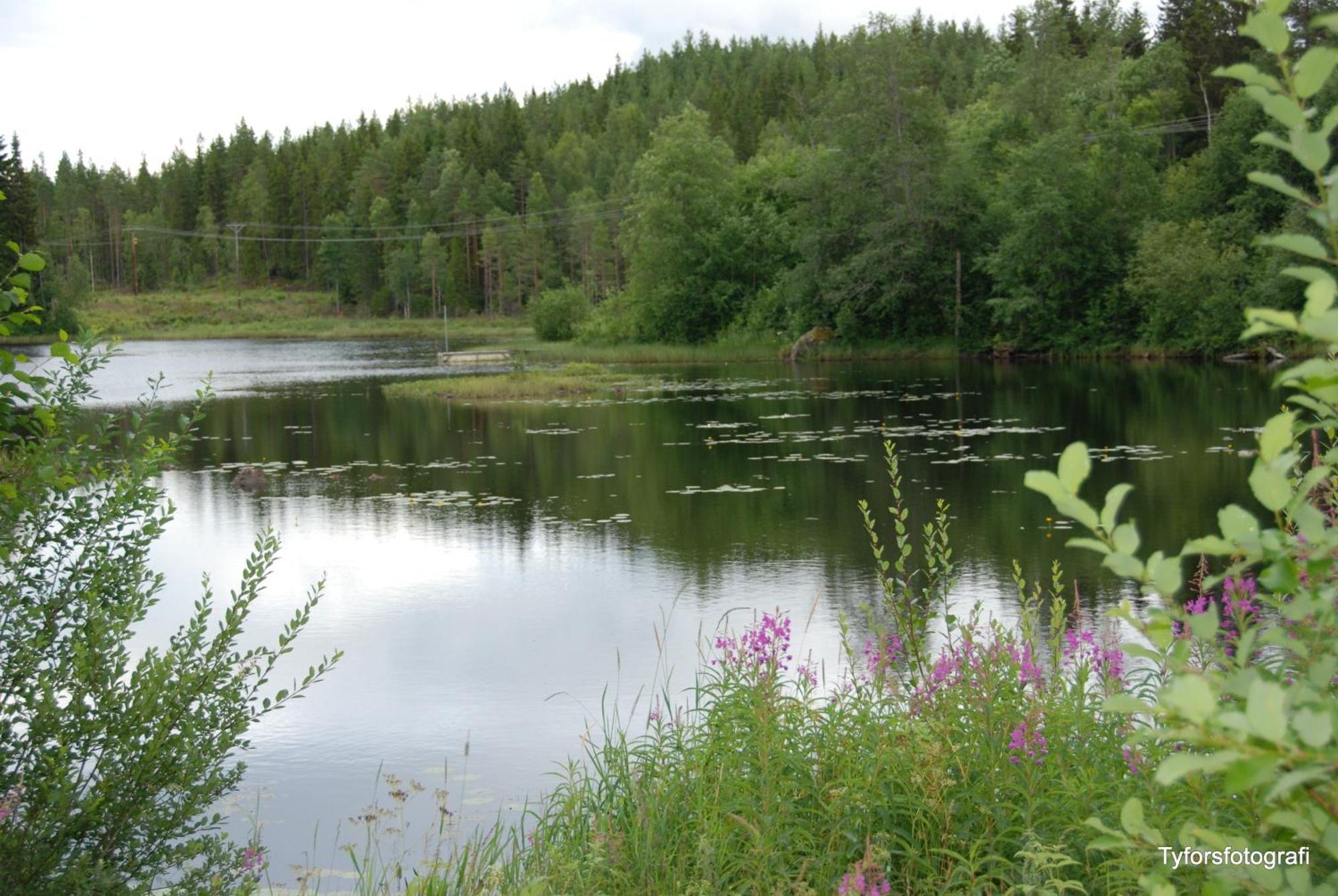 Tyforsgarden Appartement Mjolnartorpet Buitenkant foto